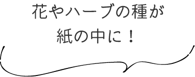 花やハーブの種が紙の中に！