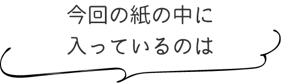 今回の紙の中に入っているのは