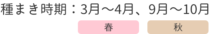 種まき時期：春 3月〜4月、秋 9月〜10月